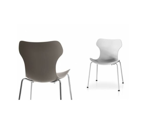 Papilio Shell Outdoor